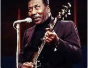 Muddy Waters